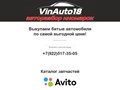 Vinauto18